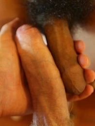 Petite Thai ladyboy with stiff cock fucked poses before anal